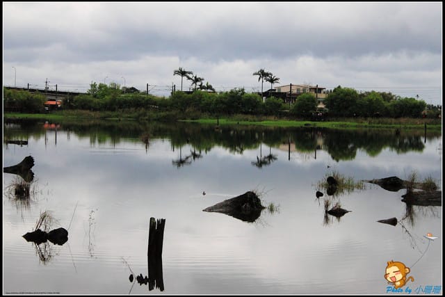 《遊記—宜蘭》羅東林業文化園區