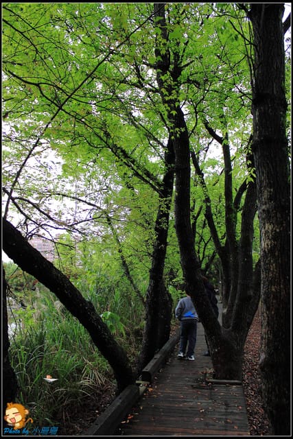 《遊記—宜蘭》羅東林業文化園區