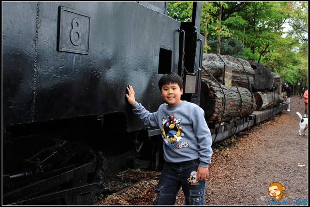 《遊記—宜蘭》羅東林業文化園區