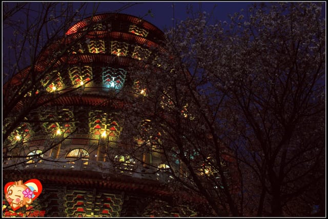 《遊記—新北淡水》2012天元宮夜櫻