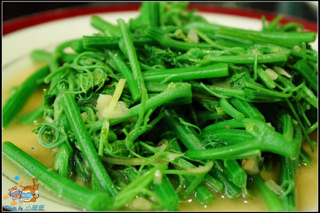 《遊記—屏東》張家食堂～黑鮪魚饗宴！