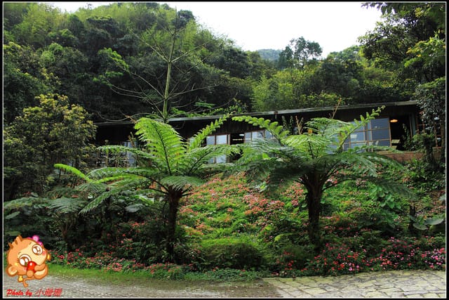 《食記—基隆》芳裕農場～擁抱大自然囉！