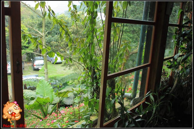 《食記—基隆》芳裕農場～擁抱大自然囉！