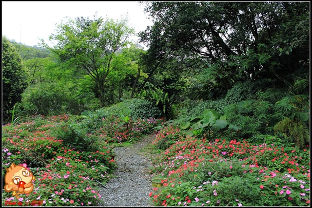 《食記—基隆》芳裕農場～擁抱大自然囉！