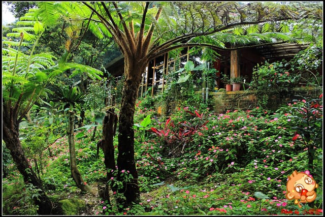 《食記—基隆》芳裕農場～擁抱大自然囉！