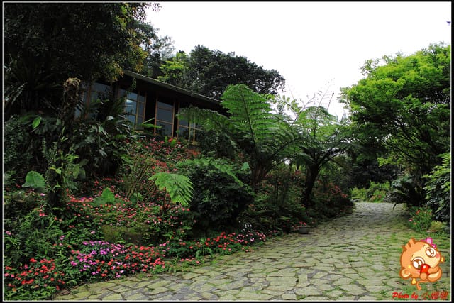 《食記—基隆》芳裕農場～擁抱大自然囉！