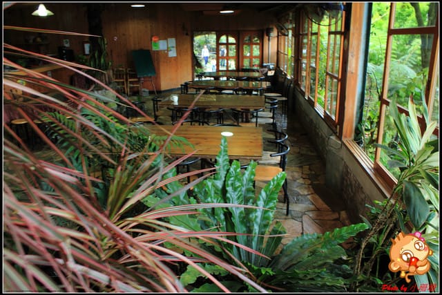 《食記—基隆》芳裕農場～擁抱大自然囉！