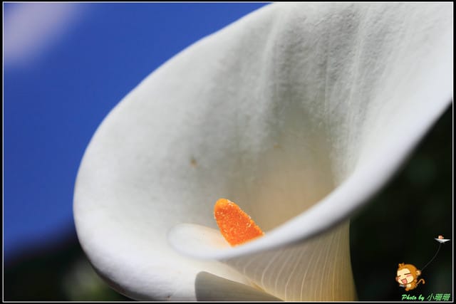 《遊記—台北》相芋‧在陽明山竹子湖～