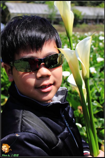 《遊記—台北》相芋‧在陽明山竹子湖～