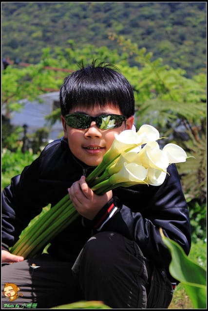 《遊記—台北》相芋‧在陽明山竹子湖～