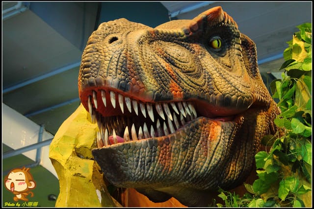 《遊記—桃園》台茂購物中心～遛小孩、打發時間好地方！