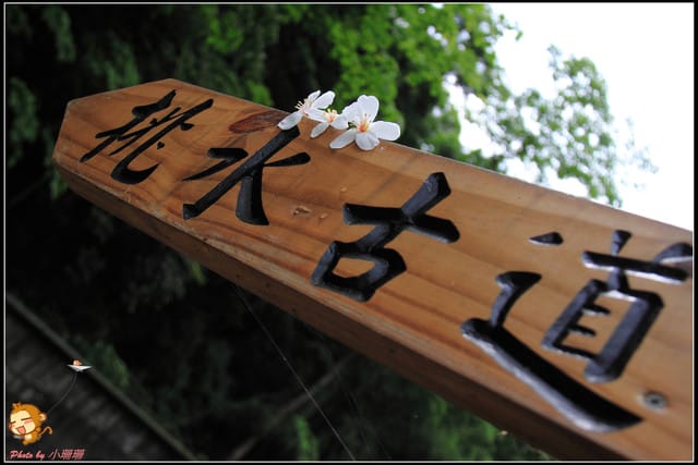《遊記—彰化》桐言桐雨～挑水古道