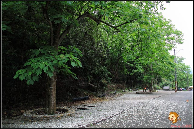 《遊記—彰化》桐言桐雨～挑水古道