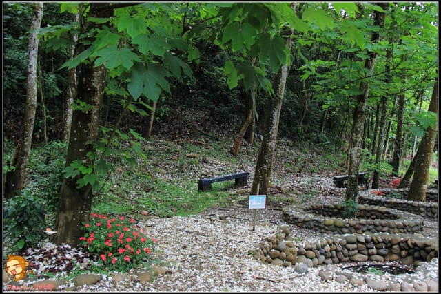 《遊記—彰化》桐言桐雨～挑水古道