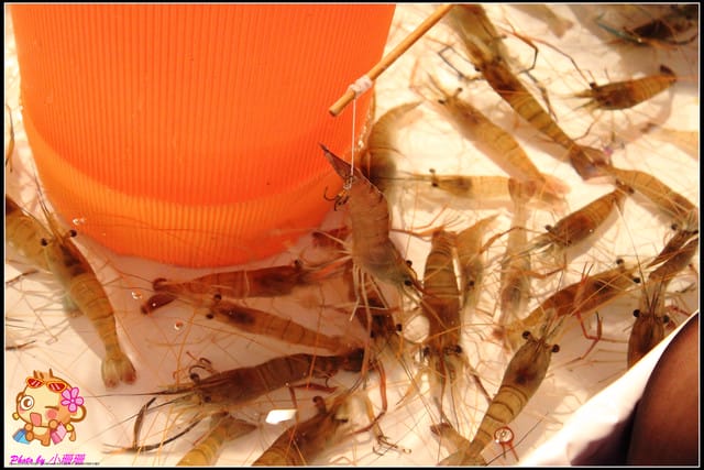 《食記—新北泰山》輔大花園夜市～嚇！！超鬼扯的人潮！！
