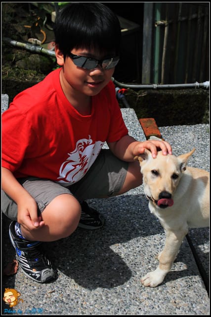 《遊記—桃園》大溪十一指古道~桐花第二彈! - 第12張圖 《遊記—桃園》大溪十一指古道~桐花第二彈!