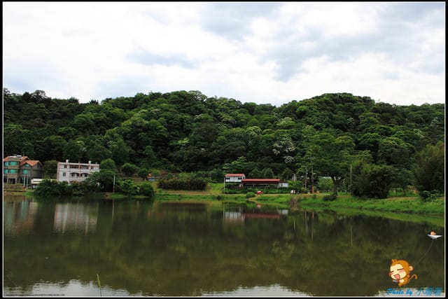 《遊記—桃園》大溪十一指古道~桐花第二彈! - 第4張圖 《遊記—桃園》大溪十一指古道~桐花第二彈!