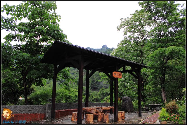 《遊記—新北石碇》永定國小~那一年我們一起追的桐花! - 第12張圖 《遊記—新北石碇》永定國小~那一年我們一起追的桐花!