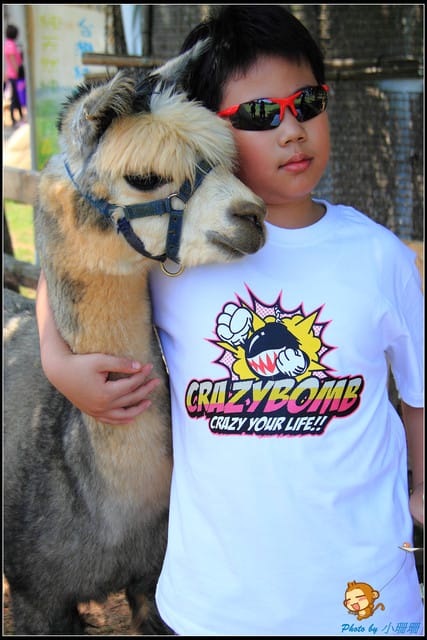 《遊記—台中》天馬牧場～與草泥馬貼臉XD