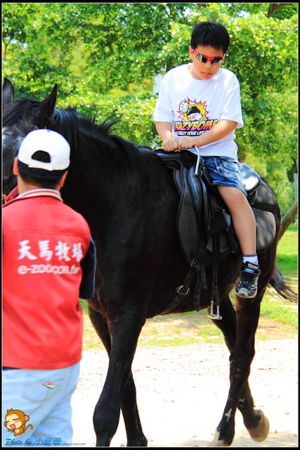 《遊記—台中》天馬牧場～與草泥馬貼臉XD