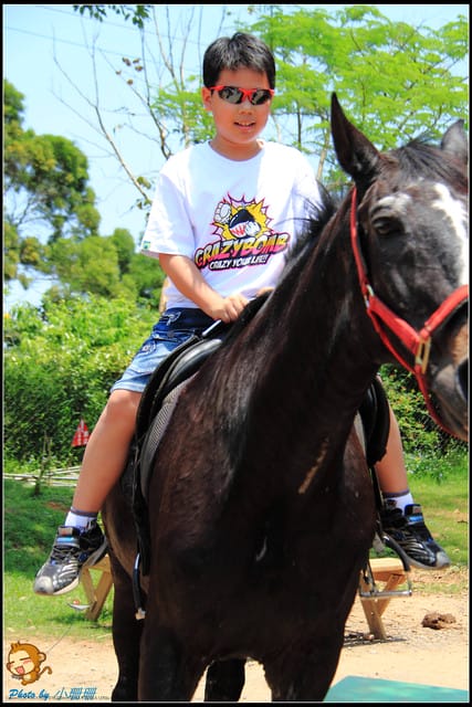 《遊記—台中》天馬牧場～與草泥馬貼臉XD