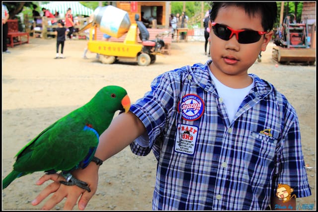 《遊記—台中》天馬牧場～與草泥馬貼臉XD