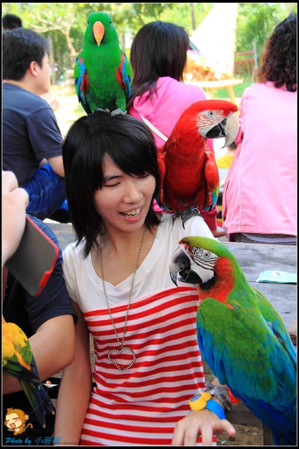 《遊記—台中》天馬牧場～與草泥馬貼臉XD