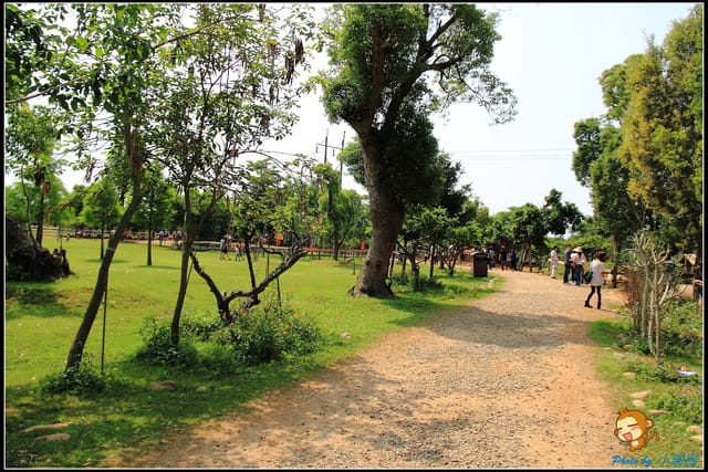 《遊記—台中》天馬牧場～與草泥馬貼臉XD