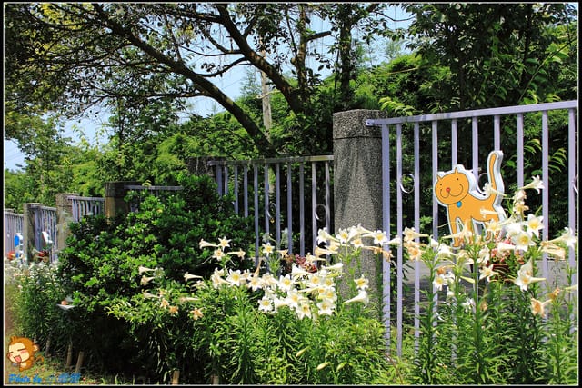 《遊記—台北》內雙溪百合花季