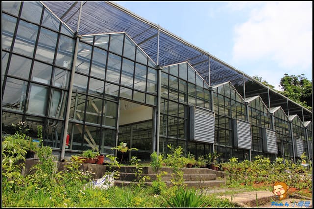 《遊記—台北》內雙溪百合花季