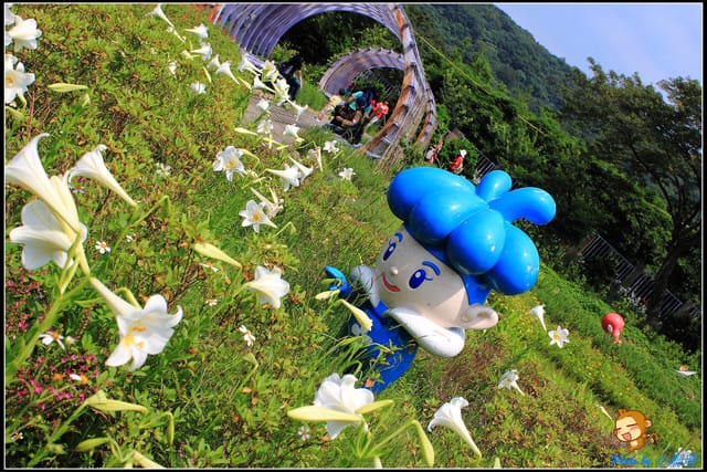 《遊記—台北》內雙溪百合花季