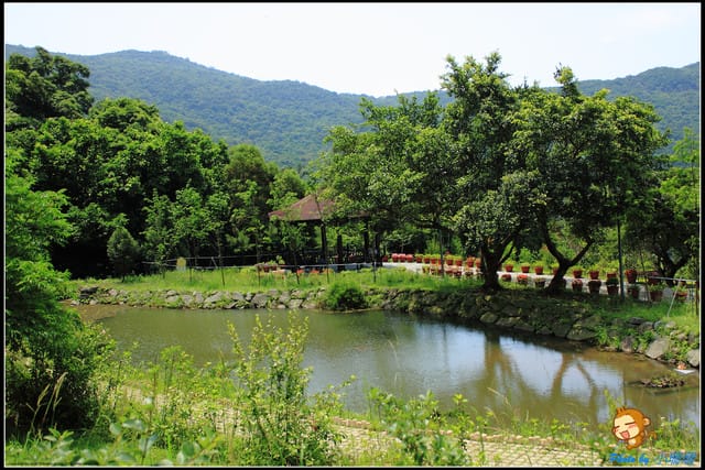 《遊記—台北》內雙溪百合花季