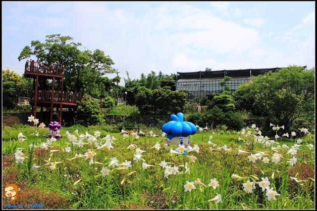 《遊記—台北》內雙溪百合花季