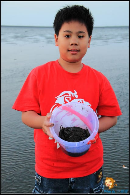 《遊記—台中》被夕陽染紅的高美濕地