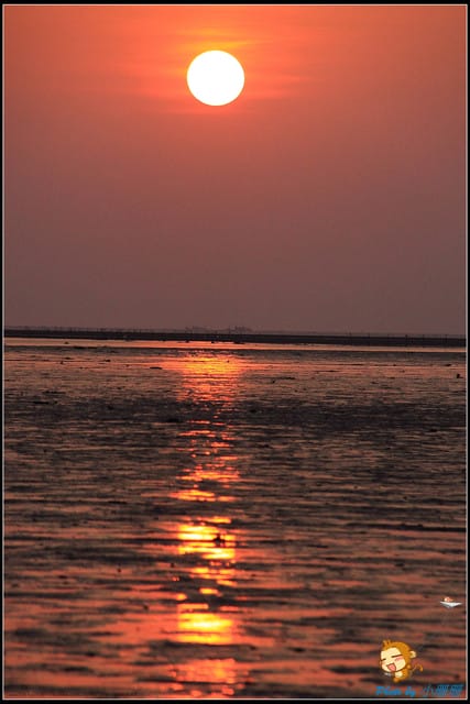 《遊記—台中》被夕陽染紅的高美濕地