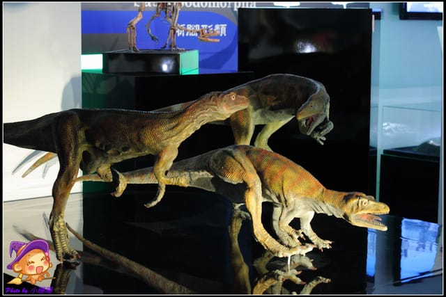 《遊記—台北》地球最古老的恐龍展~恐龍登陸?! - 第57張圖 《遊記—台北》地球最古老的恐龍展~恐龍登陸?!