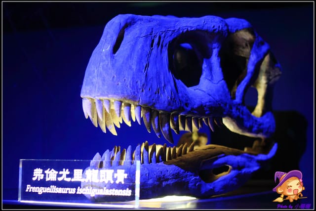 《遊記—台北》地球最古老的恐龍展~恐龍登陸?! - 第40張圖 《遊記—台北》地球最古老的恐龍展~恐龍登陸?!