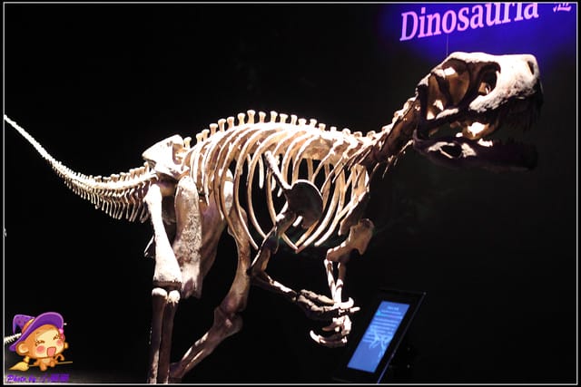 《遊記—台北》地球最古老的恐龍展~恐龍登陸?! - 第9張圖 《遊記—台北》地球最古老的恐龍展~恐龍登陸?!