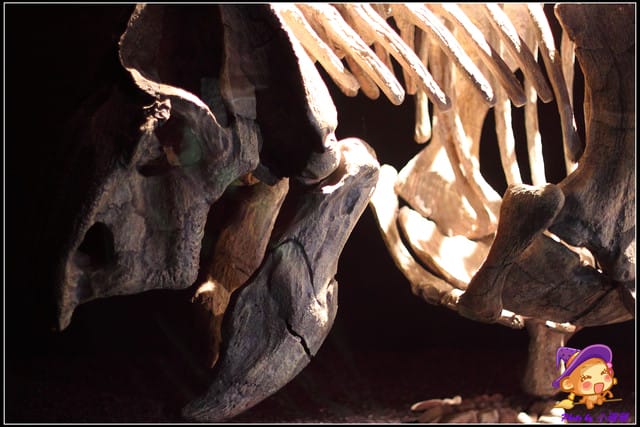 《遊記—台北》地球最古老的恐龍展~恐龍登陸?! - 第13張圖 《遊記—台北》地球最古老的恐龍展~恐龍登陸?!