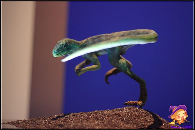 《遊記—台北》地球最古老的恐龍展~恐龍登陸?! - 第45張圖 《遊記—台北》地球最古老的恐龍展~恐龍登陸?!