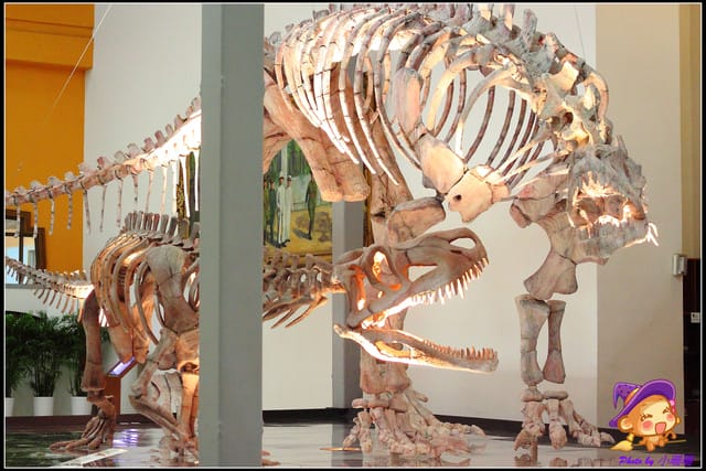 《遊記—台北》地球最古老的恐龍展～恐龍登陸？！