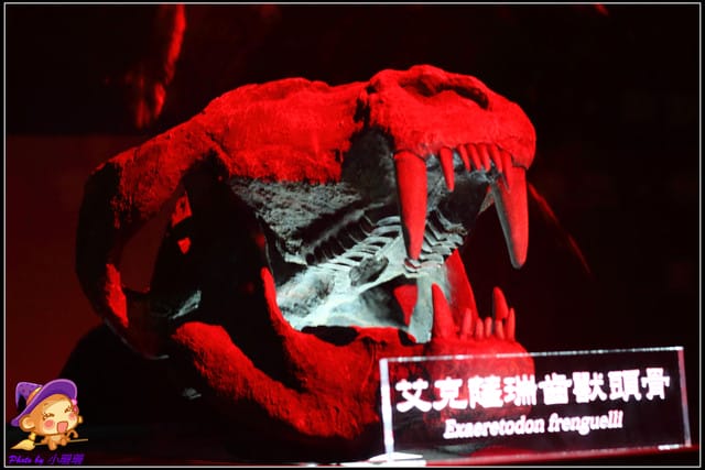《遊記—台北》地球最古老的恐龍展~恐龍登陸?! - 第38張圖 《遊記—台北》地球最古老的恐龍展~恐龍登陸?!