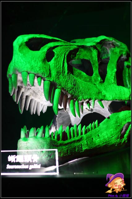 《遊記—台北》地球最古老的恐龍展~恐龍登陸?! - 第39張圖 《遊記—台北》地球最古老的恐龍展~恐龍登陸?!