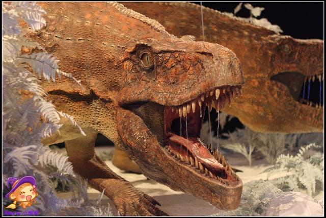 《遊記—台北》地球最古老的恐龍展~恐龍登陸?! - 第30張圖 《遊記—台北》地球最古老的恐龍展~恐龍登陸?!