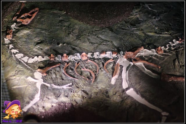 《遊記—台北》地球最古老的恐龍展~恐龍登陸?! - 第44張圖 《遊記—台北》地球最古老的恐龍展~恐龍登陸?!