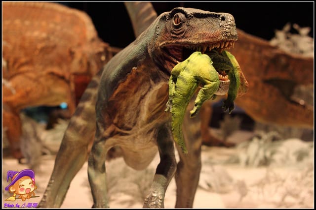 《遊記—台北》地球最古老的恐龍展~恐龍登陸?! - 第29張圖 《遊記—台北》地球最古老的恐龍展~恐龍登陸?!
