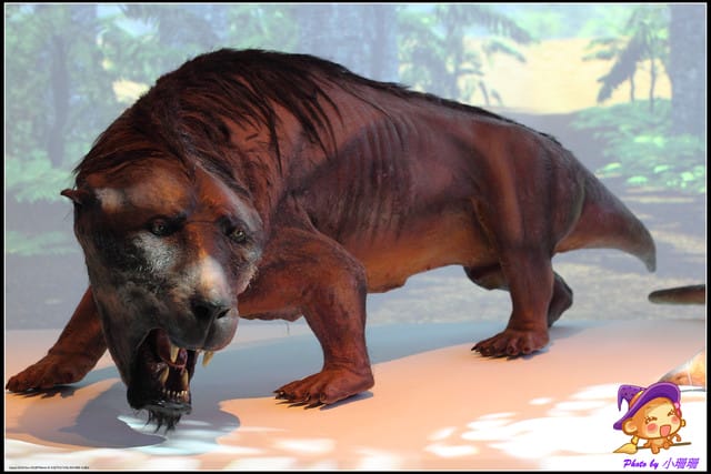 《遊記—台北》地球最古老的恐龍展~恐龍登陸?! - 第27張圖 《遊記—台北》地球最古老的恐龍展~恐龍登陸?!