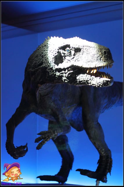 《遊記—台北》地球最古老的恐龍展~恐龍登陸?! - 第32張圖 《遊記—台北》地球最古老的恐龍展~恐龍登陸?!