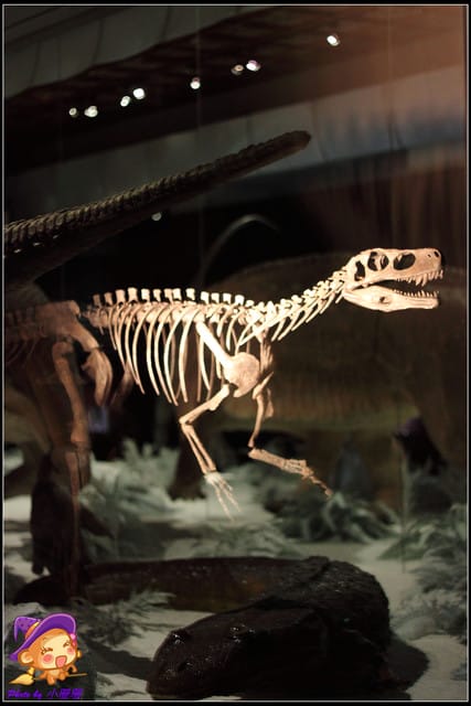 《遊記—台北》地球最古老的恐龍展~恐龍登陸?! - 第31張圖 《遊記—台北》地球最古老的恐龍展~恐龍登陸?!