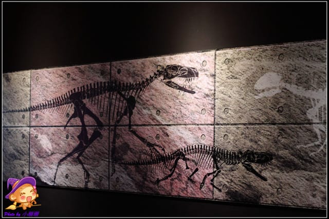 《遊記—台北》地球最古老的恐龍展~恐龍登陸?! - 第5張圖 《遊記—台北》地球最古老的恐龍展~恐龍登陸?!